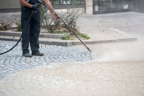 Best Dumpster Area Cleaning  in Saylorville, IA